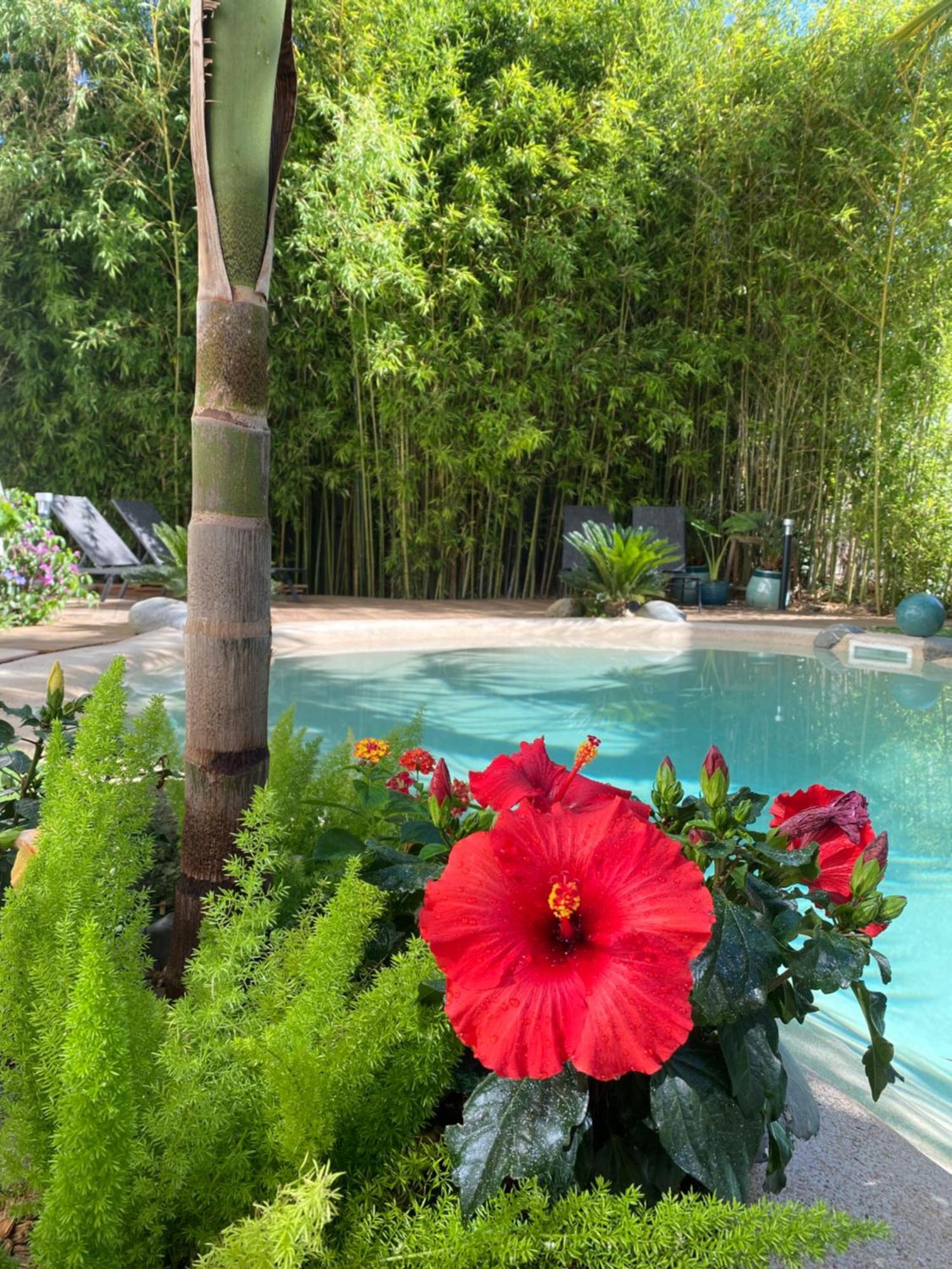 Appt Ambiance Boheme 2 Ch Piscine Lagon Daire Tarbes Dış mekan fotoğraf